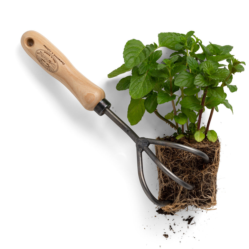 gardening plant tine wood handle metal 