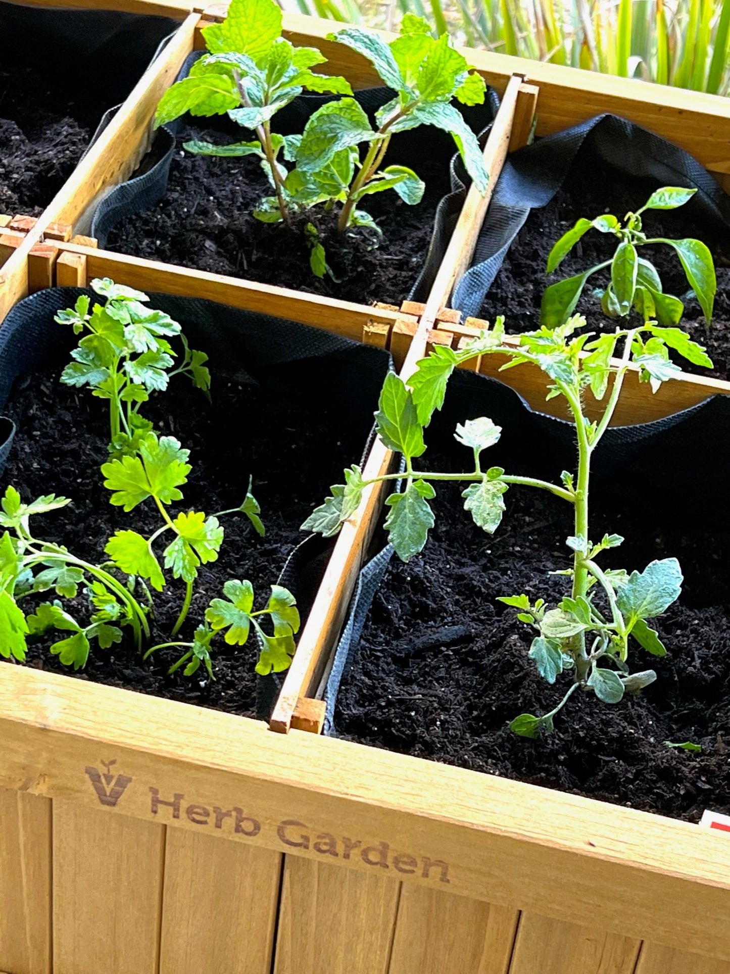 herb garden planter