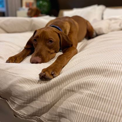 Khaki Stripe Cotton-Chambray Duvet Cover