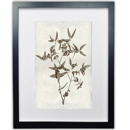 Eucalyptus #3 Handmade Paper Wall Art Print
