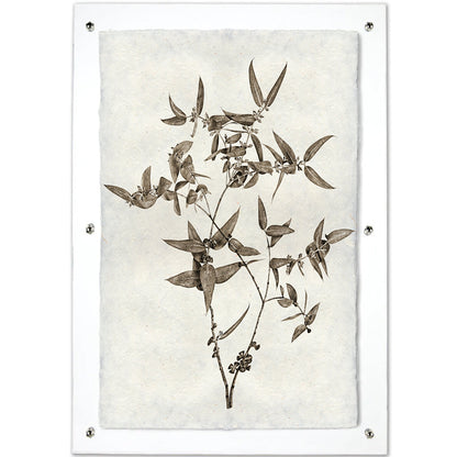 Eucalyptus #3 Handmade Paper Wall Art Print