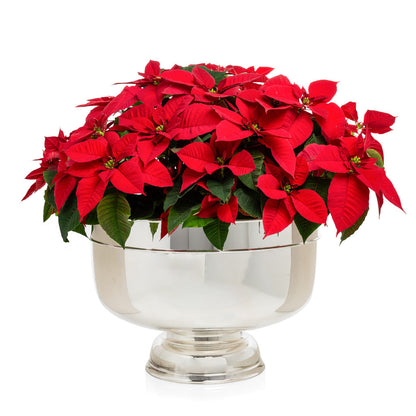 large silver Poinsettia flower vase