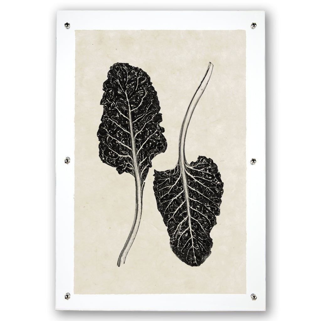 Swiss Chard Handmade Paper Wall Art Print