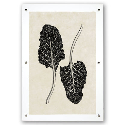Swiss Chard Handmade Paper Wall Art Print