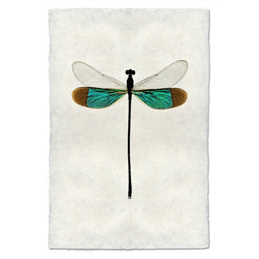 Turquoise Damsel Dragonfly handmade paper wall art print 40"x60"