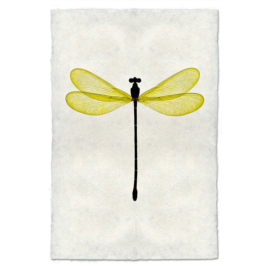 Yellow Damsel Dragonfly handmade paper wall art print 40"x60"