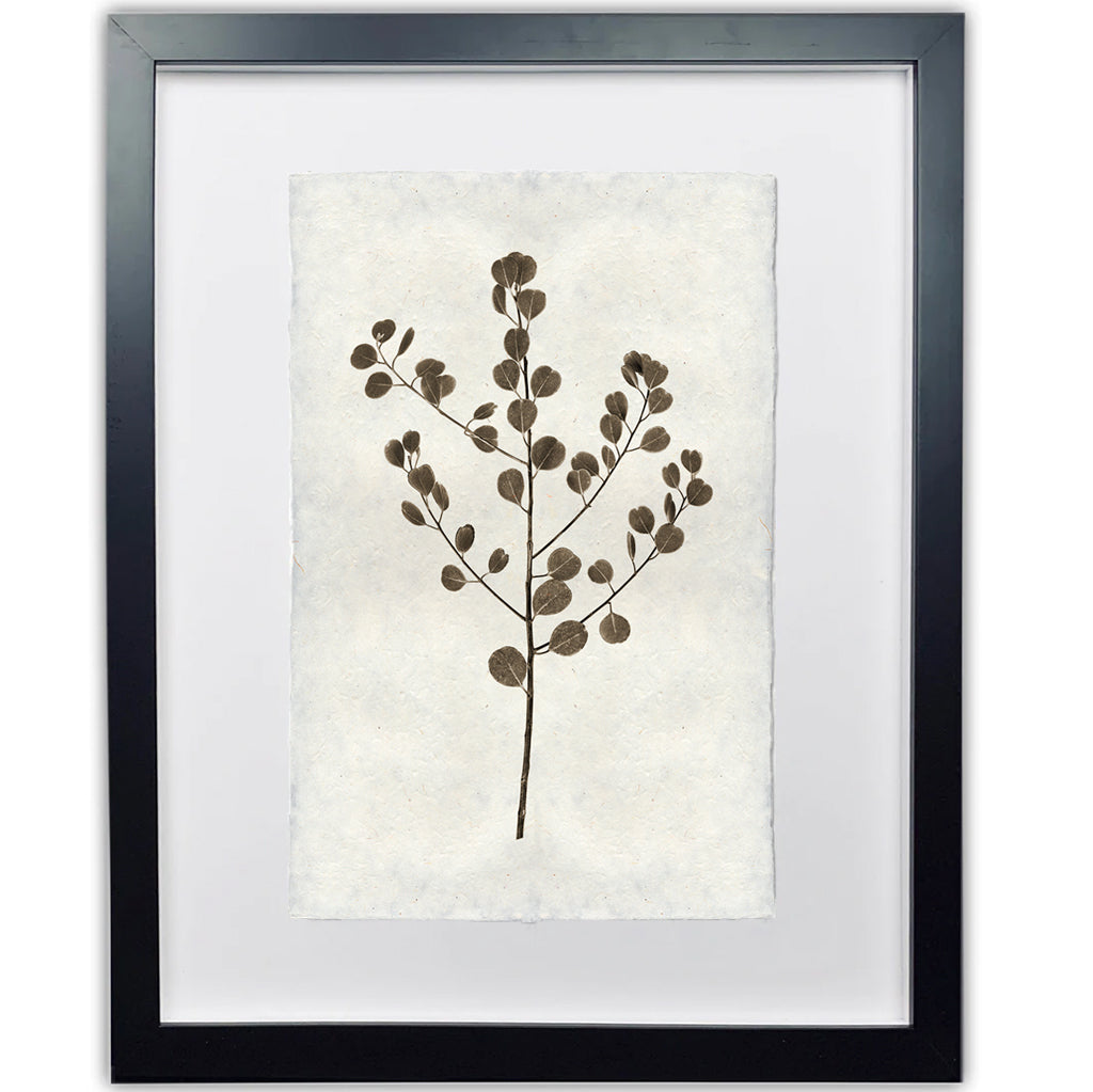 Eucalyptus #1 Handmade Paper Wall Art Print