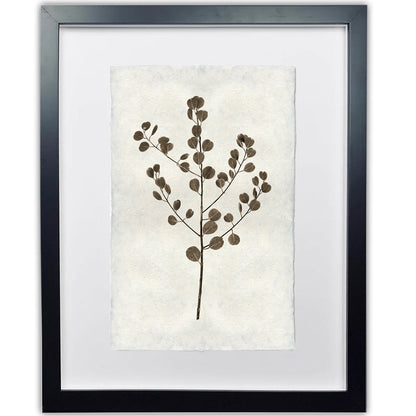Eucalyptus #1 Handmade Paper Wall Art Print