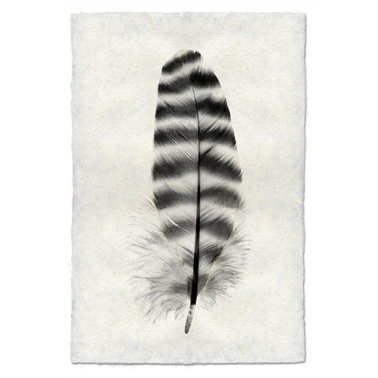 Feather handmade paper wall art print 40"x60"