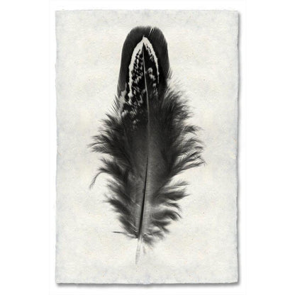 Feather study handmade paper wall art print 40"x60"