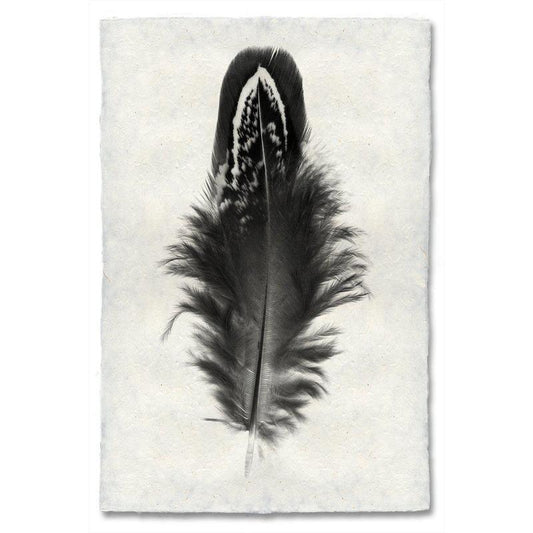 Feather study handmade paper wall art print 40"x60"