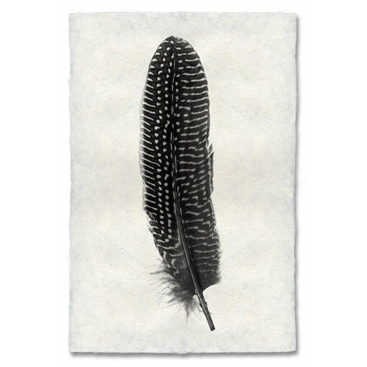 Feather study handmade paper wall art print 40"x60"