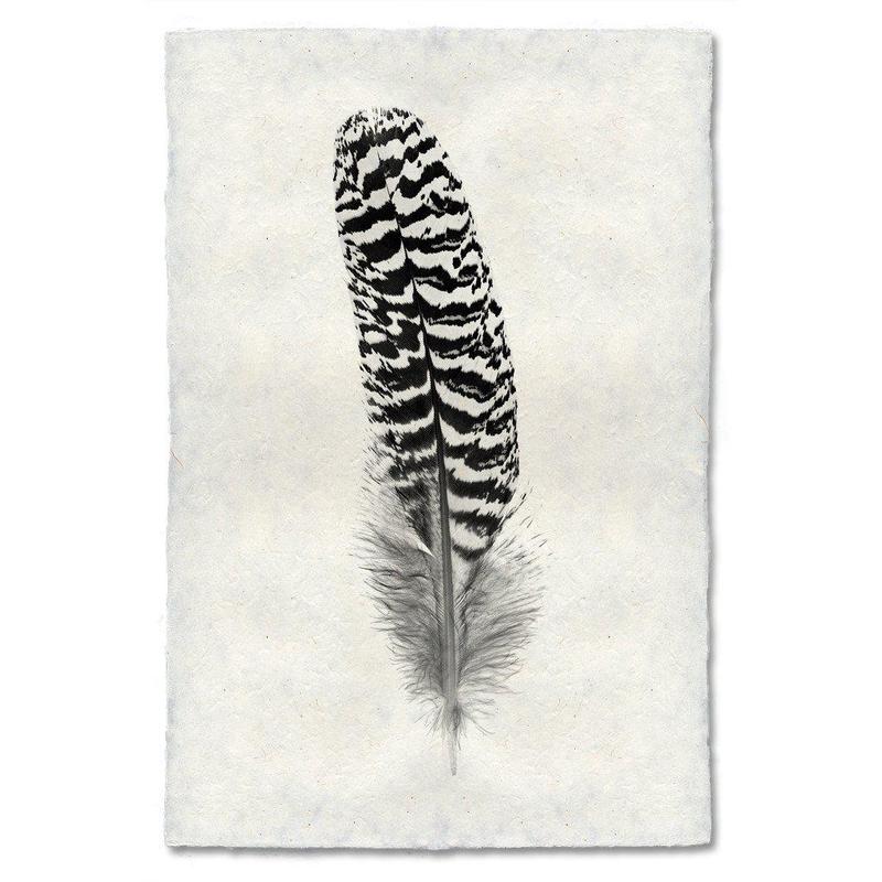 Feather study handmade paper wall art print 40"x60"