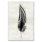 Silver Pheasant Feather Study #2 Handmade Paper Wall Art Print