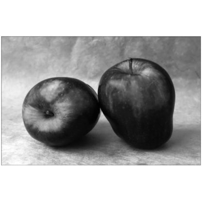 Greyscale Apple Art, 20" x 30"