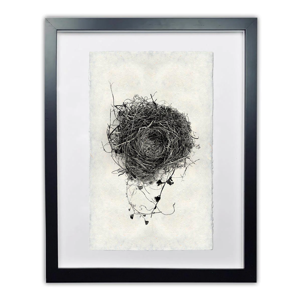 Nest Study #3 Handmade Paper Wall Art Print