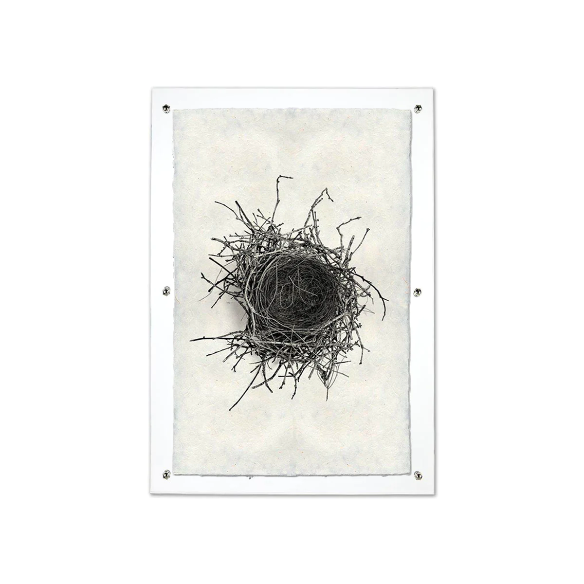 Nest Study #2 Handmade Paper Wall Art Print