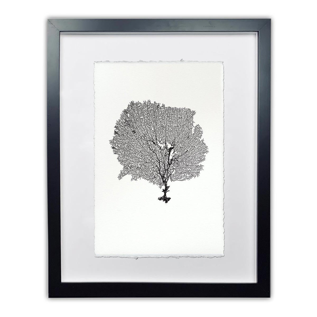 Round Sea Fan framed handmade paper wall art print 20"x30"