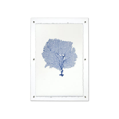 Round Sea fan blue framed handmade paper wall art print 20"x30"