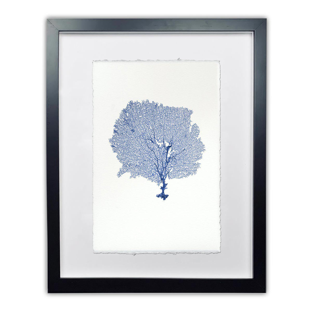 Round Sea Fan framed handmade paper wall art print 9"x14"