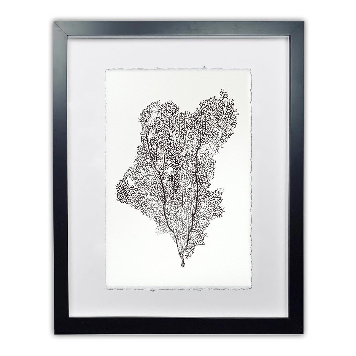 Sea Fan Black framed handmade paper wall art print 9"x14"