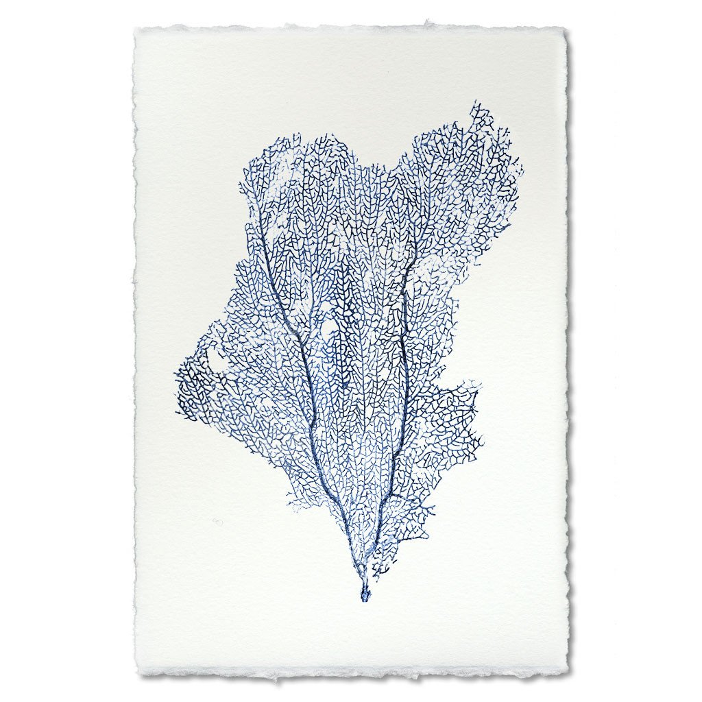 Sea Fan Blue handmade paper wall art print 40"x60"