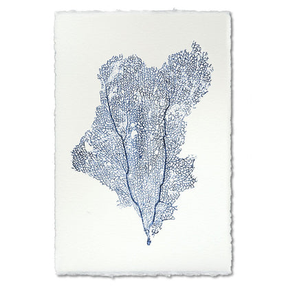 Sea Fan Blue handmade paper wall art print 40"x60"