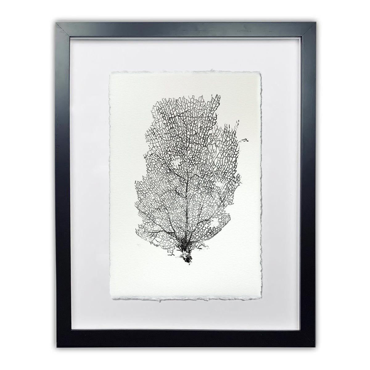 Sea fan black framed handmade paper wall art print 9"x14"