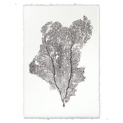 Sea Fan Black handmade paper wall art print 40"x60"