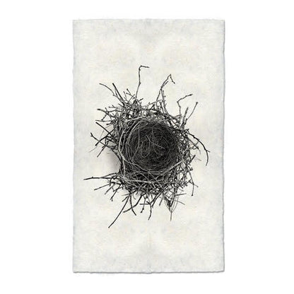 Nest Study #2 Handmade Paper Wall Art Print