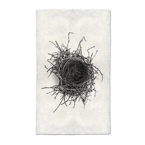 Nest Study #2 Handmade Paper Wall Art Print