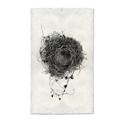 Nest 3 unframed