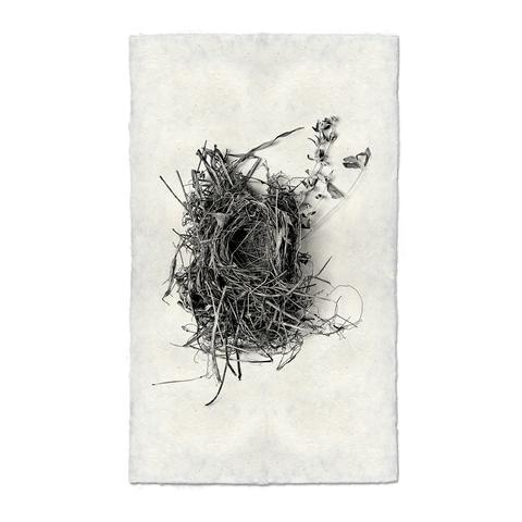 Nest 1 unframed