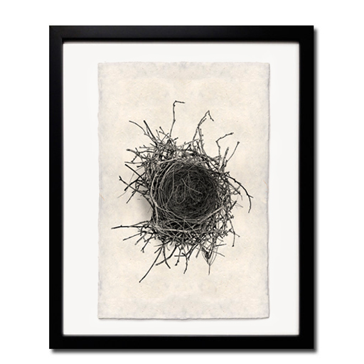 Nest Study #2 - (20 x 30)