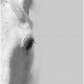White Horse Right - 30x45