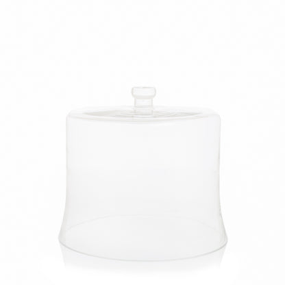 Small Glass Cloche