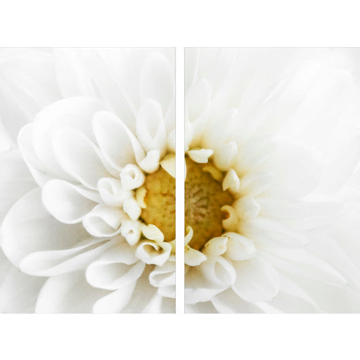 White Daisy RIGHT - 40x60