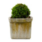 Vintage French Ribbed Square Planter